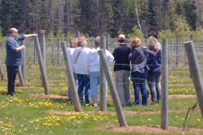 Prince Edward Island Mead, Cider, and Wine Private Tour  - Charlottetown - Pickup Information and Start Time