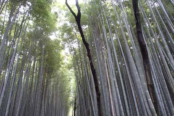 Private 1 Day Kyoto Tour Including Arashiyama Bamboo Grove and Golden Pavillion - Tour Inclusions