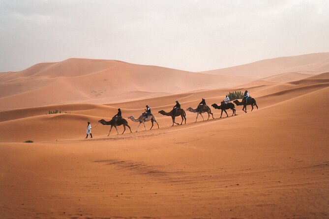 Private 3 Days Tour From Marrakech to Merzouga - Optional Activities and Upgrades