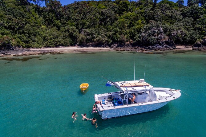 Private 5 Hour Fishing Charter Departing Tutukaka, Northland - 1 to 6 People - Common questions