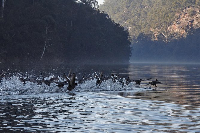 Private 5-Hour Kayaking Tour With Gourmet Lunch, Nepean Gorge  - Sydney - River Ecosystem Exploration