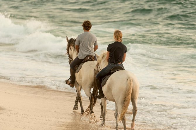 Private 75-Minute Horseback Riding Tour on the Beach  - Setubal District - Meeting Point Details
