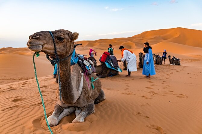 Private 8 Days Trip in Morocco - Meals and Dining Experiences