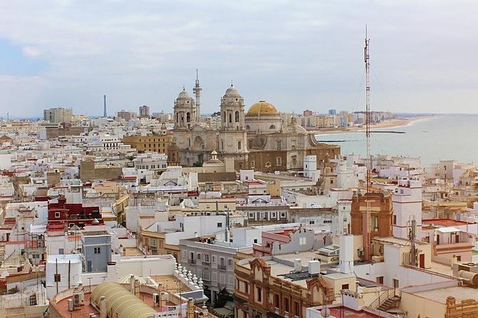 Private 8-Hour Tour to Cadiz From Seville With Hotel Pick up and Drop off - Customer Reviews and Ratings