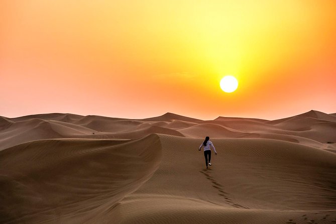 Private Abu Dhabi Desert Safari From Dubai With Hot BBQ Dinner - Assistance and Support