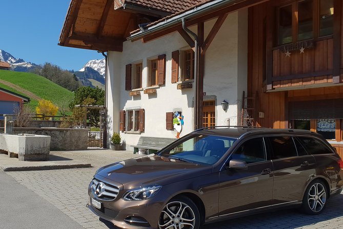 Private Arrival Transfer: From Zurich Airport to St. Gallen - Vehicle and Accessibility Details