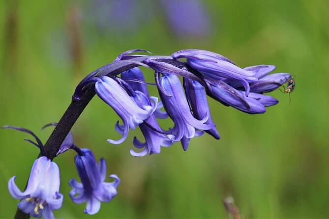 Private Bespoke Guided Nature Walking Tour From Okehampton Station - Booking and Confirmation