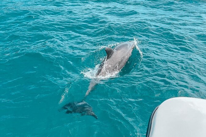 Private Boat Tour With Dolphin Spotting and Snorkelling From Phuket - Pickup and Transportation