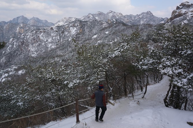 Private Bukhansan Hiking Tour (More Members Less Cost per Person) - Safety Measures and Group Benefits