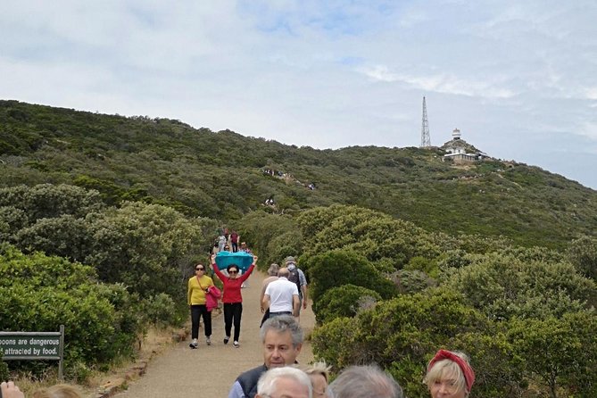 Private Cape of Good Hope Cape Point Penguin Kirstenbosch Tour. - Service Quality and Expertise