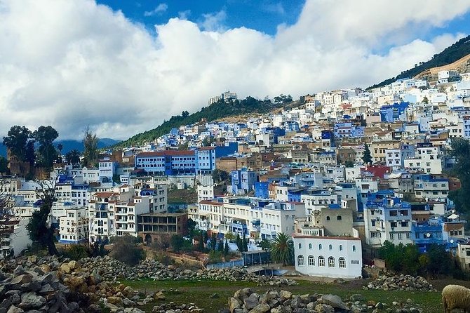 Private Chefchaouen Day Trip From Fez - Additional Trip Information