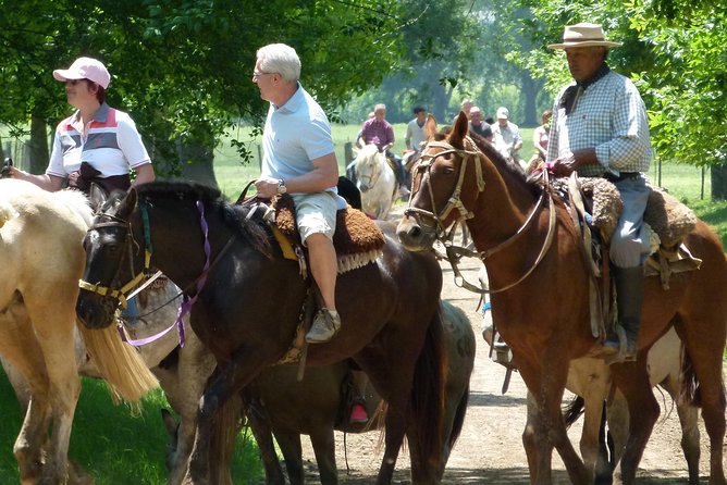 Private Day Tour to an Argentinian Estancia - Key Points