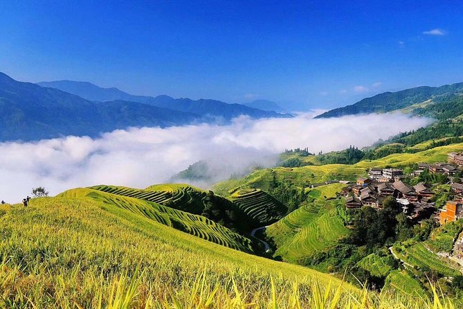 Private Day Tour to Longji Rice Terrace From Yangshuo - Expert Tour Guide