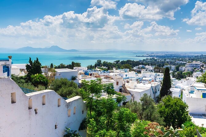 Private Day Tour Tunis Carthage Sidi Bousaid Hammamet From Sousse - Guide Information