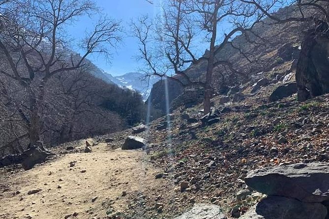 Private Day Trip From Marrakech To Atlas Mountains & Waterfalls - Customer Reviews