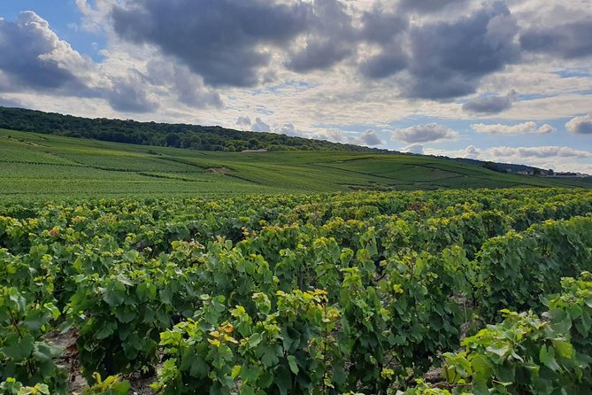 Private Day Trip From Paris to Reims and the Champagne Region - Reviews