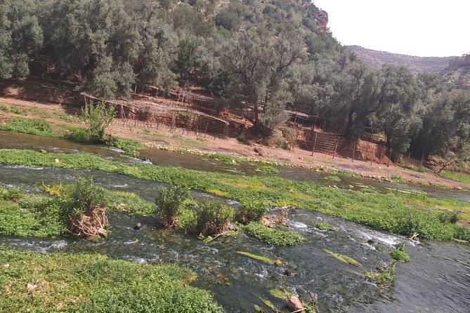 Private Day Trip to Ouzoud Waterfall From Marrakech - Scenic Views