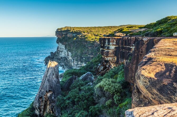 Private Day Trip to Royal National Park - up to 7 Guests - Small Group Exclusivity