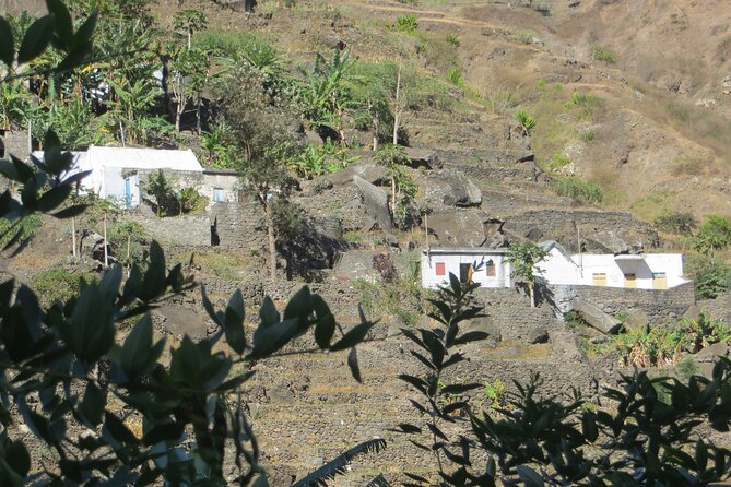 Private Day Trip to Santo Antao With Lunch - Lunch Menu