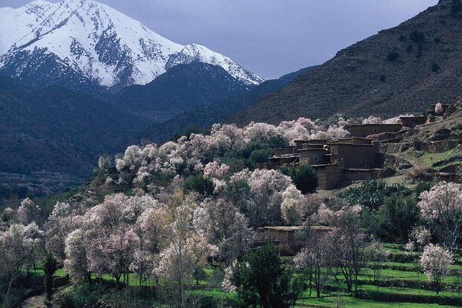 Private Day Trip to the High Atlas Mountains From Marrakech - Pricing Details