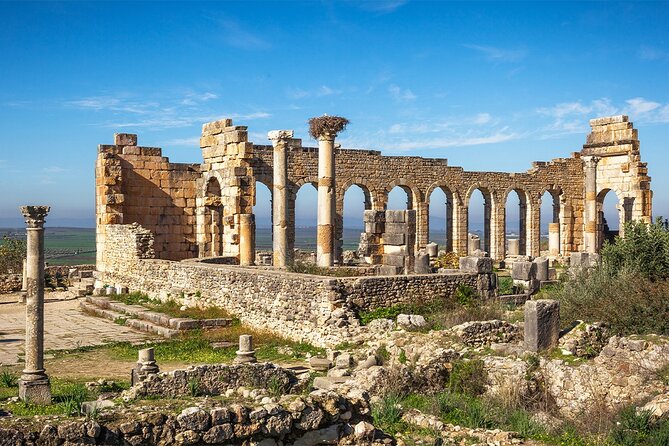 Private Day Trip to Volubilis Meknes and Moulay Driss From Fez - Expert Tour Guide