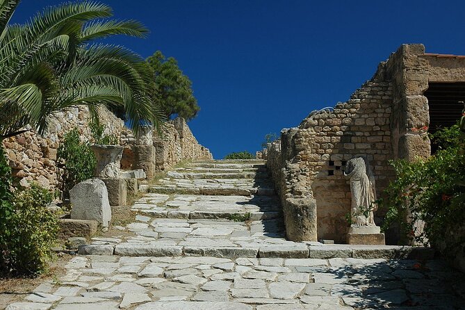 Private Day Trip Tunis Carthage Sidi Bou Said - Pickup Procedures