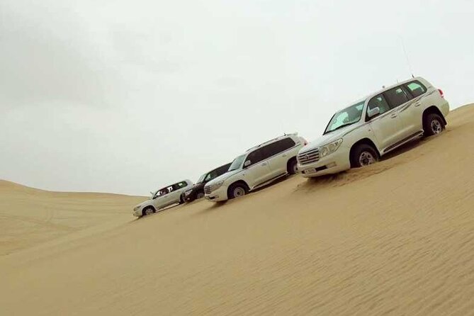 Private Desert Safari, Sand Dunes Bashing and Inland Sea Visit - Tour Inclusions