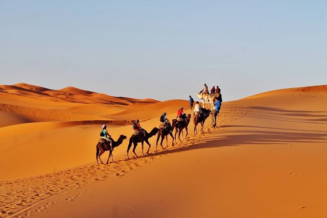 Private Desert Tour From Marrakech To Fes Via Desert Sahara - Accommodation Details