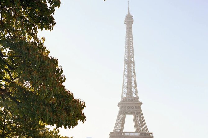 Private Disneyland Trip With Eiffel Tower - Legal Terms