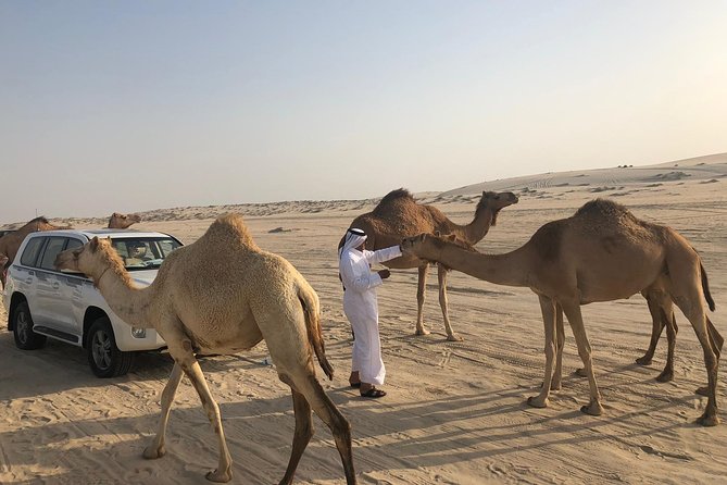 Private Doha Desert Adventure With Dune Bash and Inland Sea - Traveler Reviews and Ratings