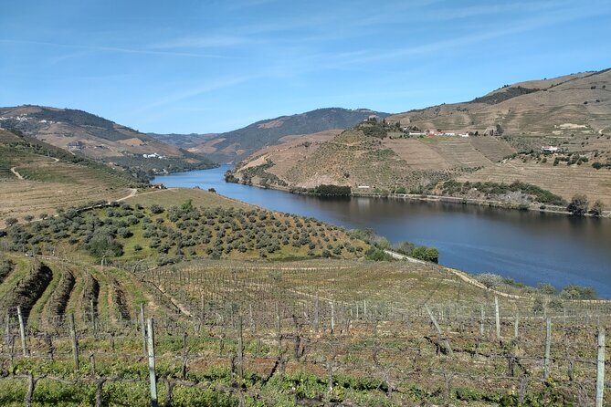 Private Douro Tour With 2 Wine Estate, Boat and Lunch, From Porto - Boat Tour Details