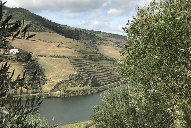 Private Douro Valley Tour Includes Wine Tasting and Boat Tour - Itinerary Highlights