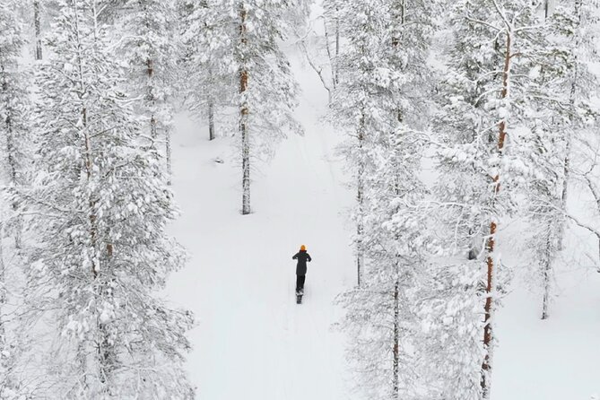 Private Driving Snow Scooters Experience in Finland - Weather Considerations and Impact