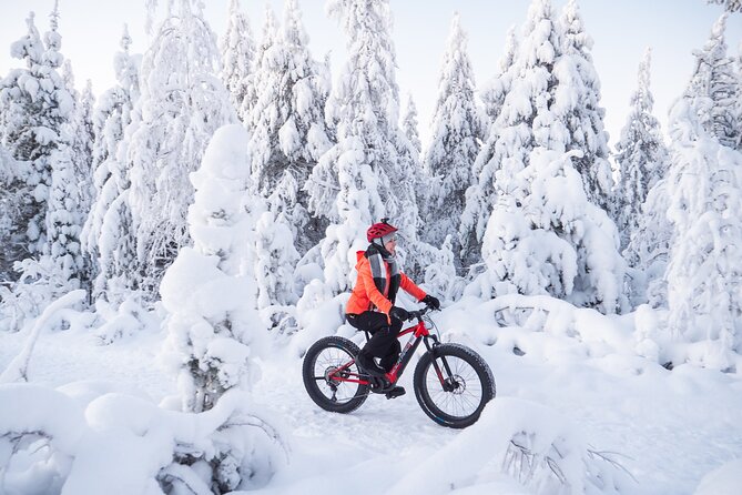 Private Electric Fat Bike Winter Tour in Rovaniemi - Tour Inclusions