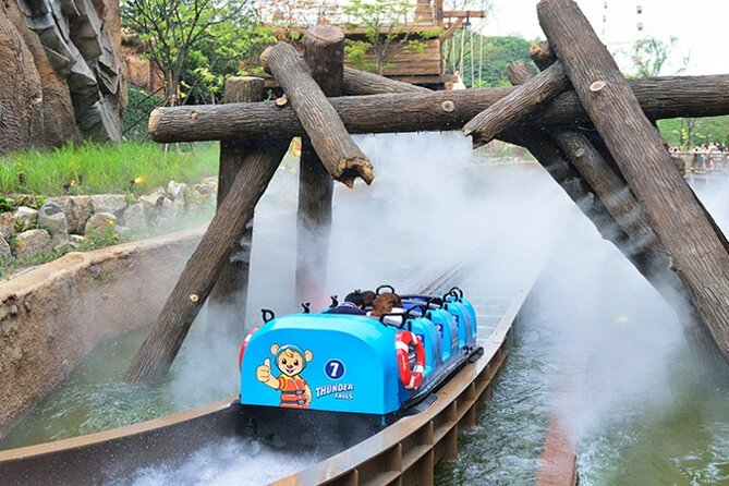 Private Everland Theme Park Tour - Tour Schedule and Itinerary