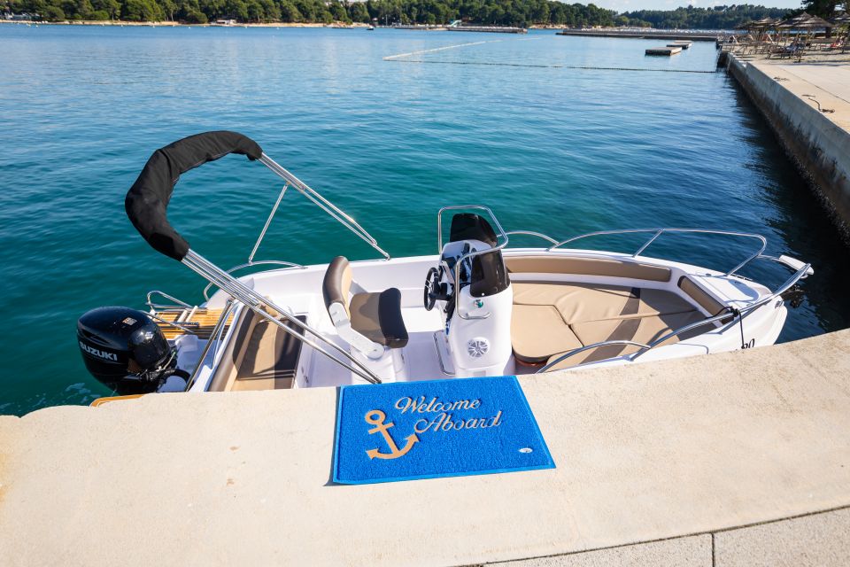 Private Family Dolphin Tour in Poreč - Tour Description