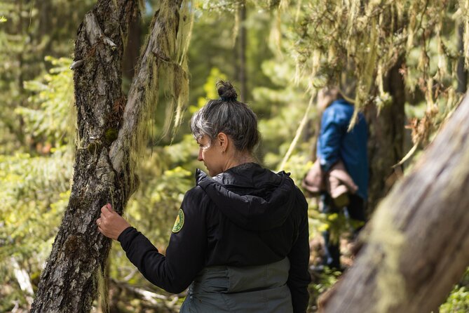 Private Forest Bathing in Serene Whistler Forests - Reviews and Rating Insights