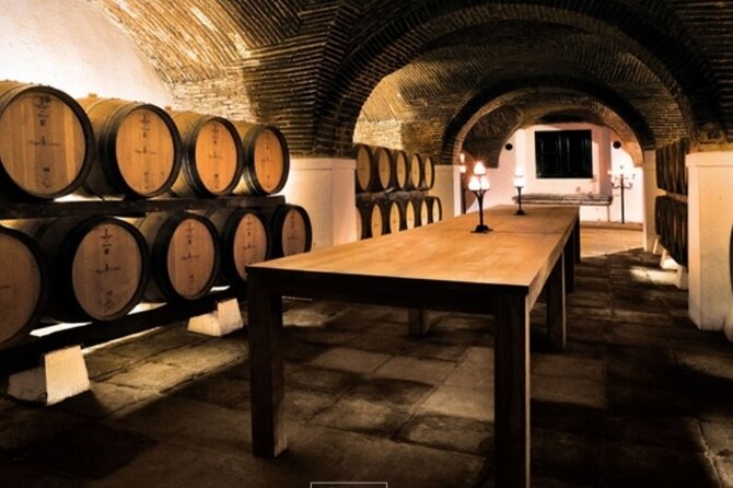 Private Full Day Evora & Alentejo Wine Tour From Lisbon - Private Tour Inclusions
