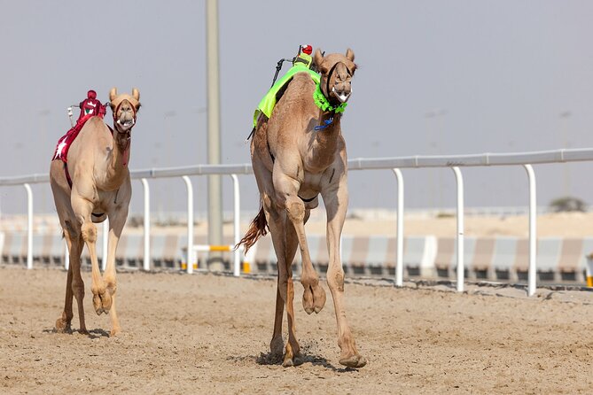 Private Full Day Guided West of Qatar Tour and Desert Safari - Inclusions and Exclusions