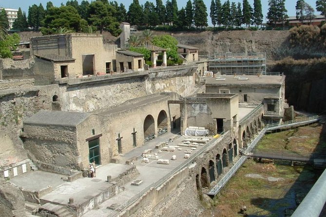 Private Full-Day Tour to Pompeii and Mt. Vesuvius With Winery Visit - Highlights of the Tour Experience