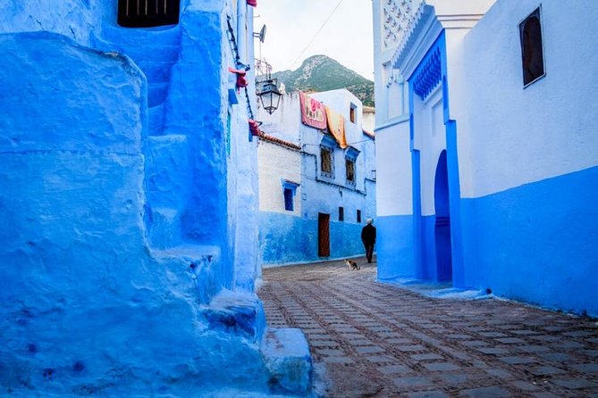 Private Full-Day Trip From Tangier To Chefchaouen - Pricing Details