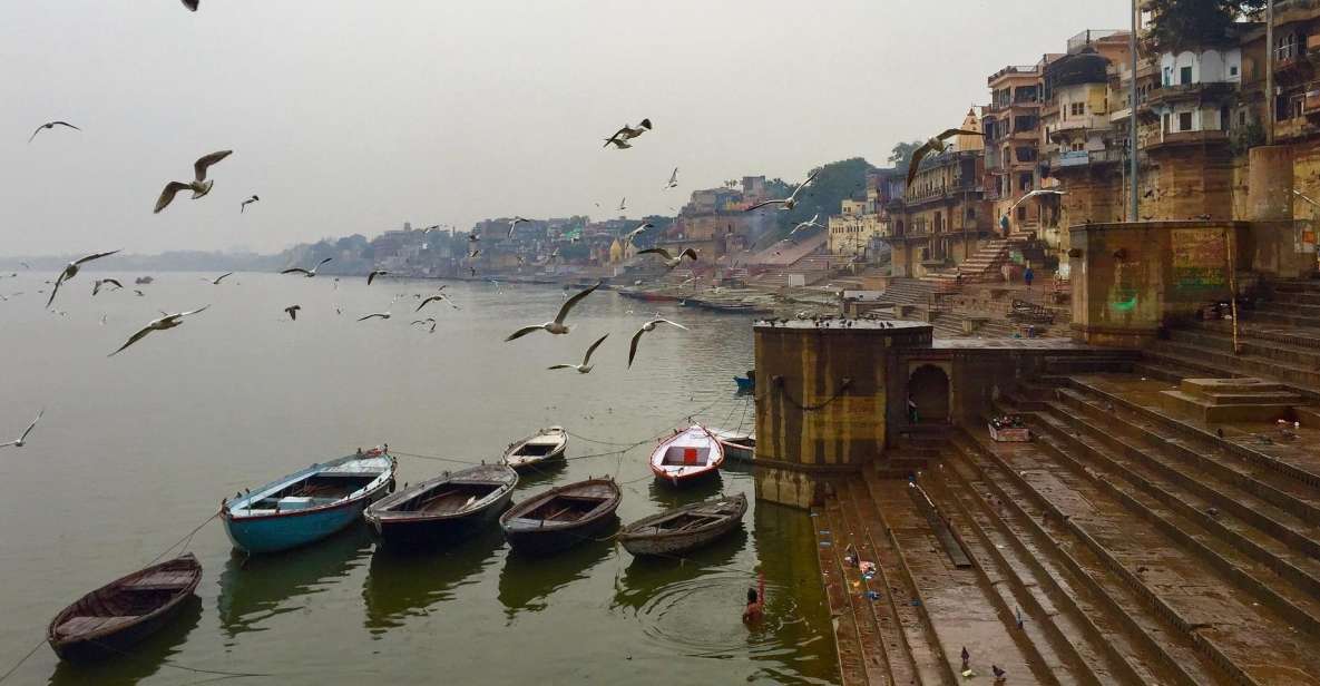 Private Full-Day Varanasi Tour & Monkey Temple - Experience Overview