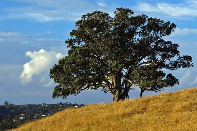 Private Guided Best of Waiheke Island - Customer Reviews and Ratings