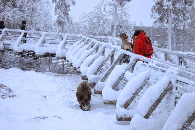 Private Guided Lapland Ranua Zoo Tour From Rovaniemi - Common questions