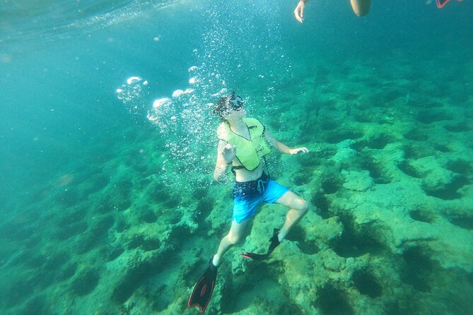 Private Guided Snorkel Tour of Fort Lauderdales Reef - Customer Reviews and Ratings