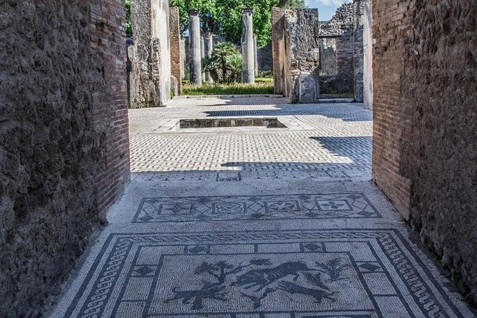 Private Guided Tour of Pompeii. Sunset Tour - Inclusions