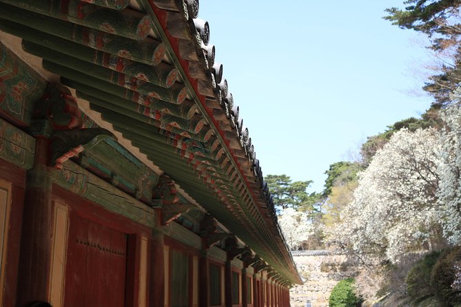 Private Gyeongju Tour: Seokguram Grotto, Bulguksa Temple  - Busan - Booking Details