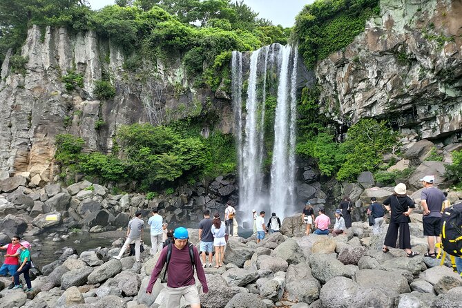 Private Half Day South and West Tour in Jeju Island - Pickup Points and Options