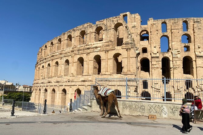 Private Half Day Tour Roman Coliseum EL JEM - Customer Reviews