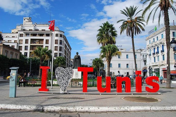 Private Half Day Tunis City Tour - Historical Significance